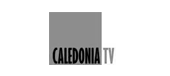 logo studio