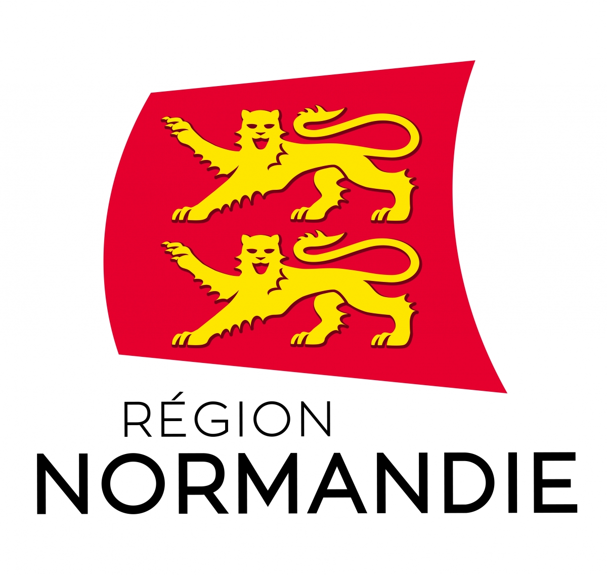 logo studio