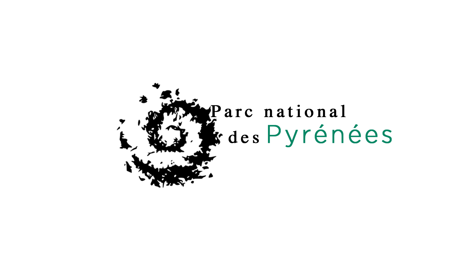 logo studio